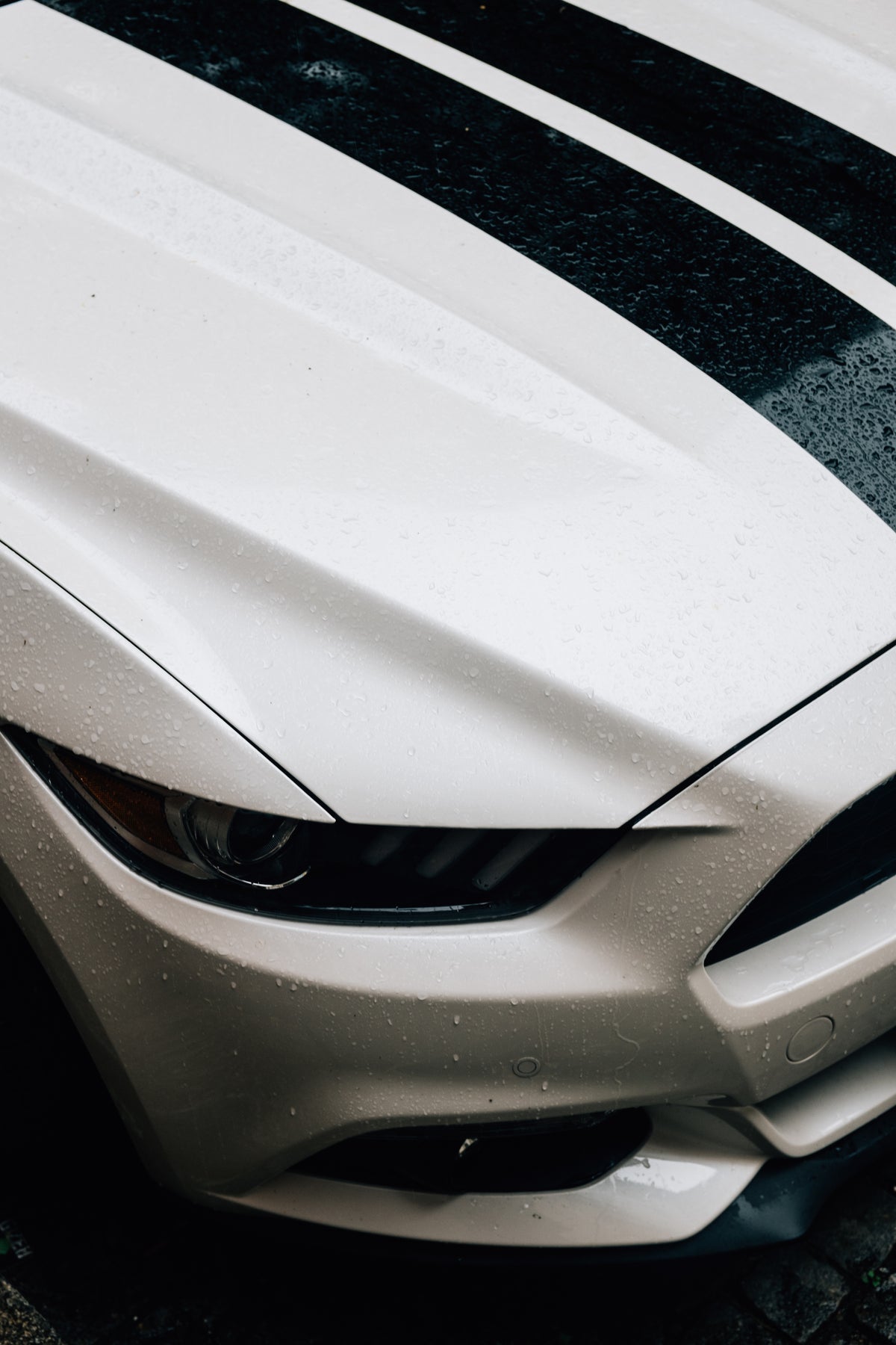 NG Custom Bodykit